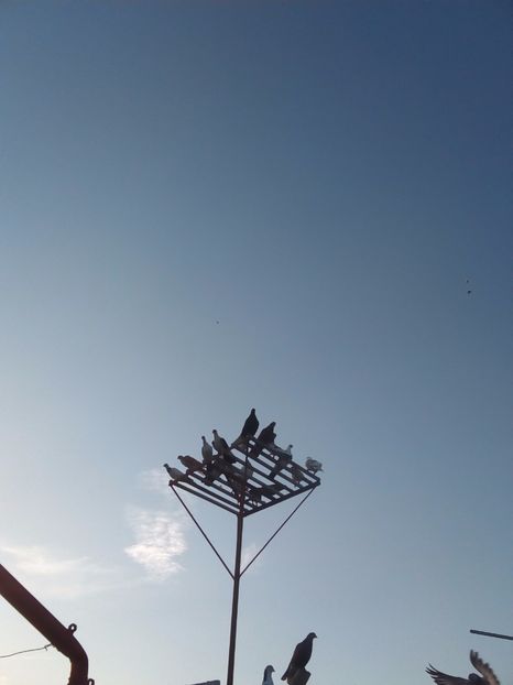  - Aspecte Iulie-August 2017