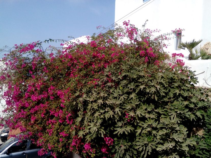  - 2017 Septembrie Vacanta Mykonos