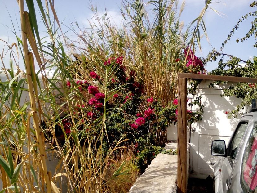  - 2017 Septembrie Vacanta Mykonos