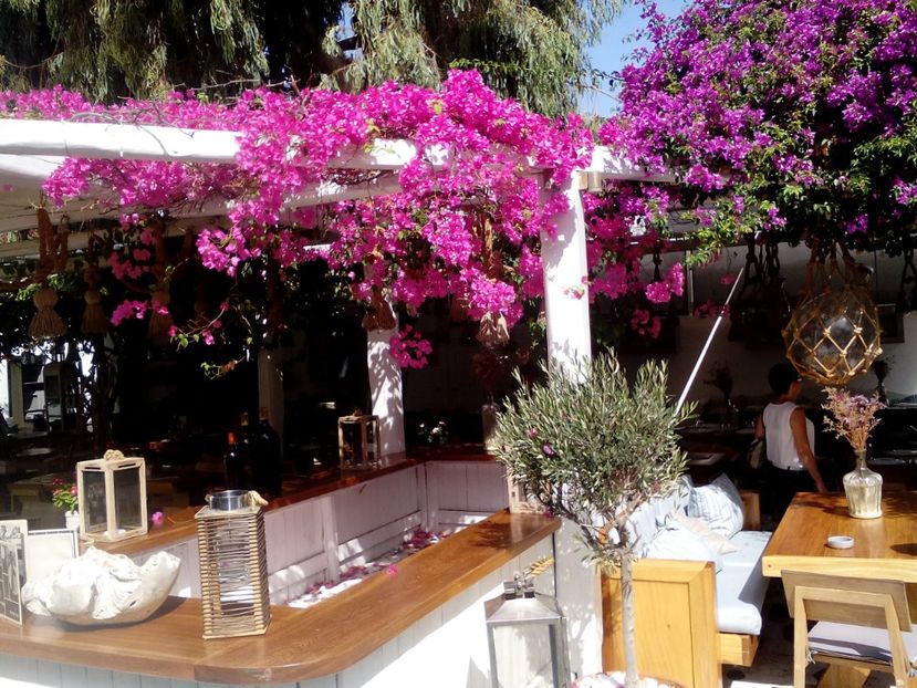  - 2017 Septembrie Vacanta Mykonos