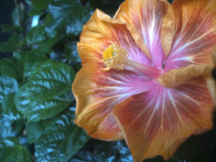 WIN_20171012_085134 - Jeanette Elliff