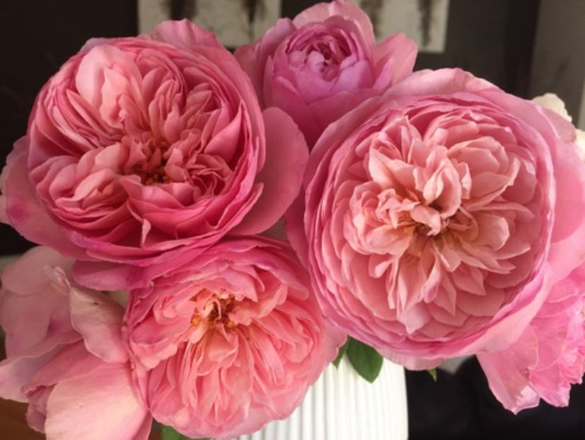 sonia rykiel - Wish list