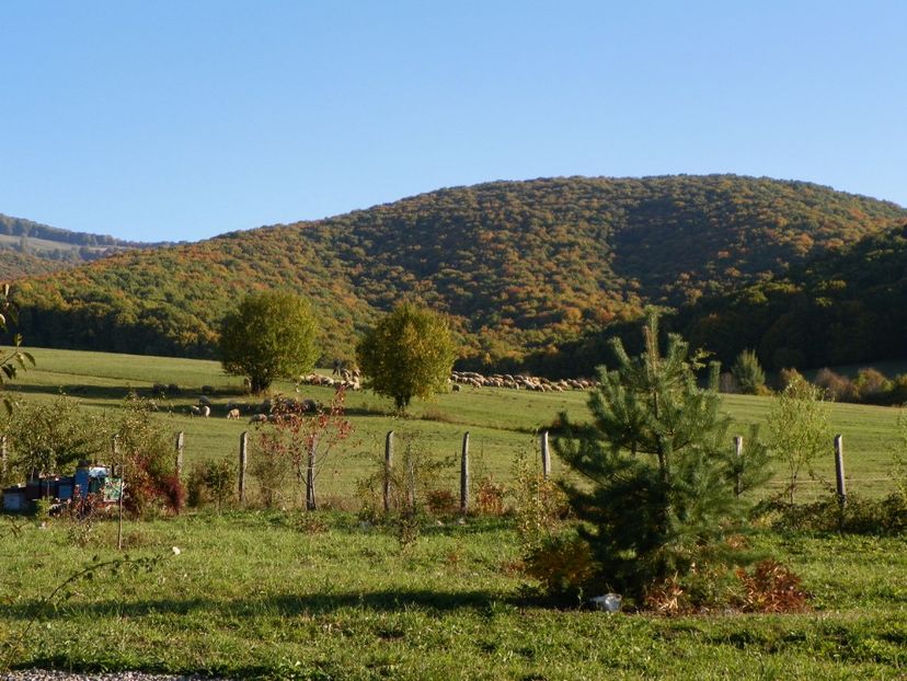 12 oct (3) - Dobarland 2017 2