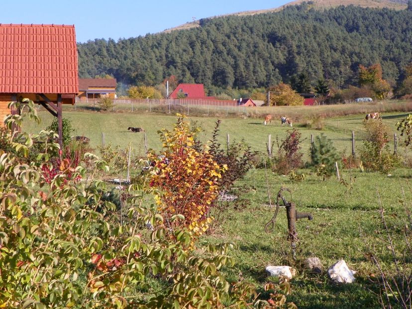 12 oct (4) - Dobarland 2017 2