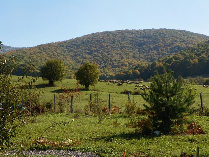 12 oct (65) - Dobarland 2017 2