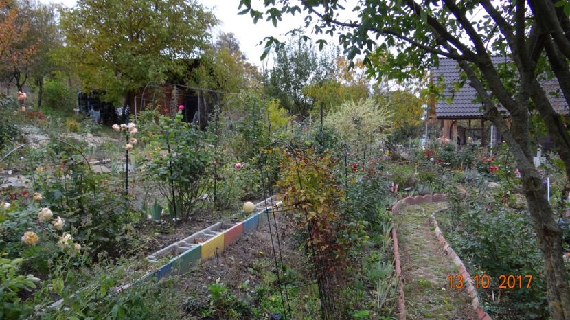 octombrie - Mon Jardin prinde contur