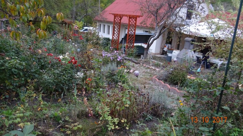 a venit... - Mon Jardin prinde contur