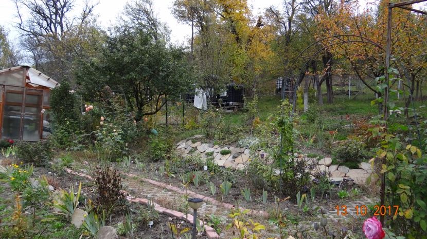 ...toamna... - Mon Jardin prinde contur