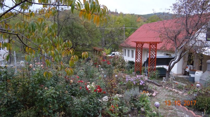 ...acopera-mi... - Mon Jardin prinde contur