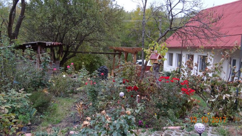  - Mon Jardin prinde contur