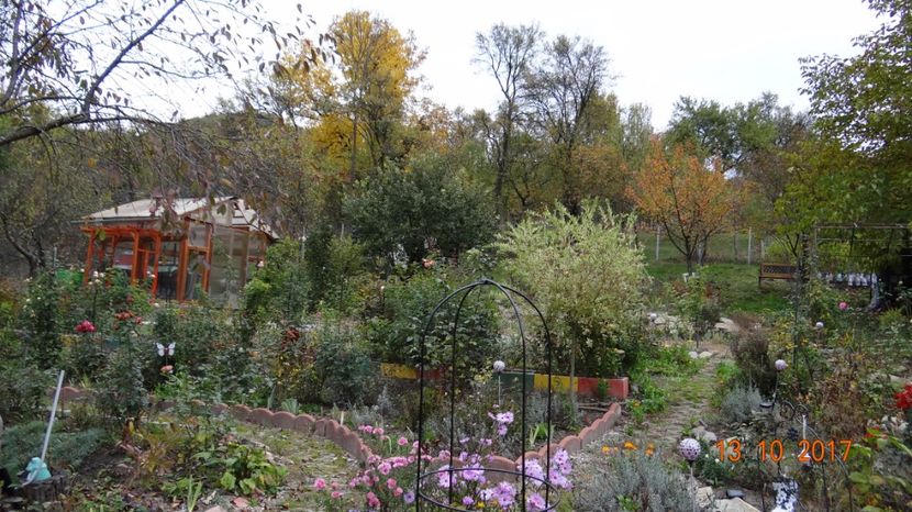  - Mon Jardin prinde contur