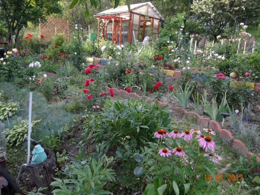  - Mon Jardin prinde contur