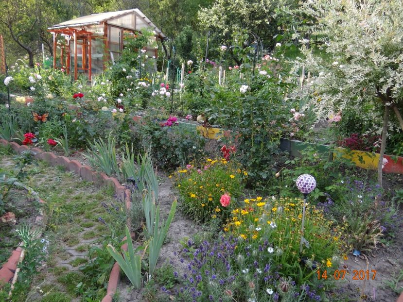  - Mon Jardin prinde contur