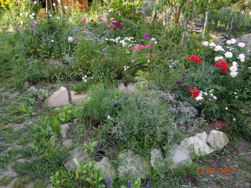  - Mon Jardin prinde contur