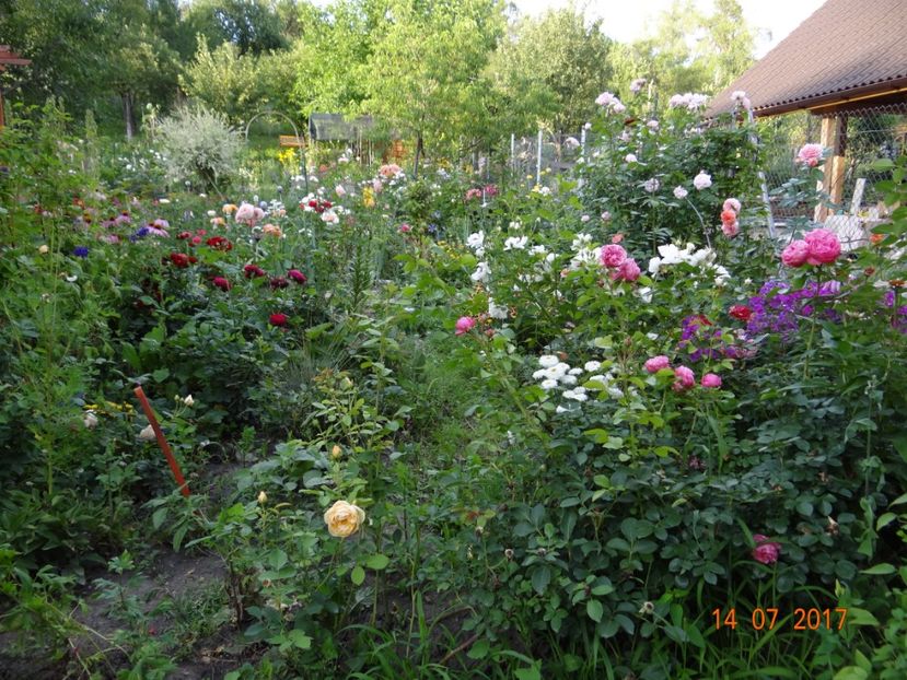  - Mon Jardin prinde contur