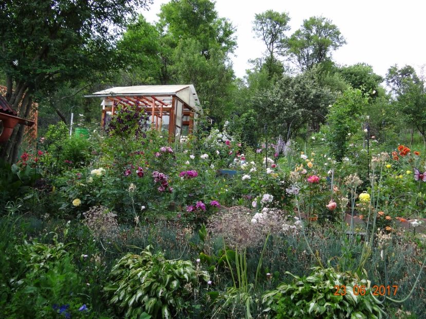  - Mon Jardin prinde contur