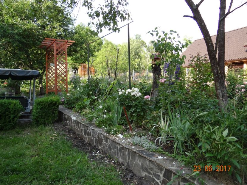  - Mon Jardin prinde contur