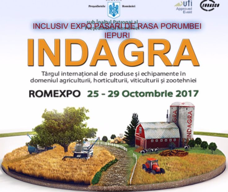  - T--TARGURI SI EXPOZITII