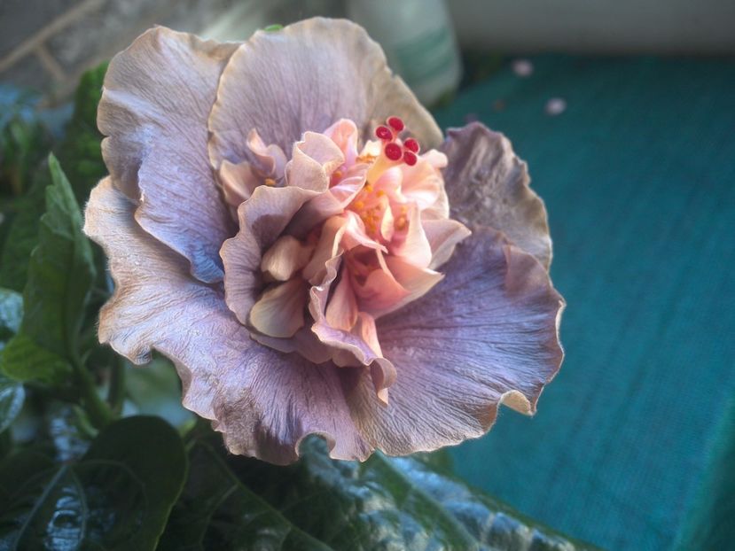 WIN_20171014_090904 - Stormy Days