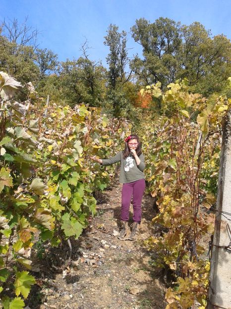 Fotografie0161 - Via din Alba