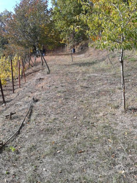 platforma 30/5m - Via din Alba