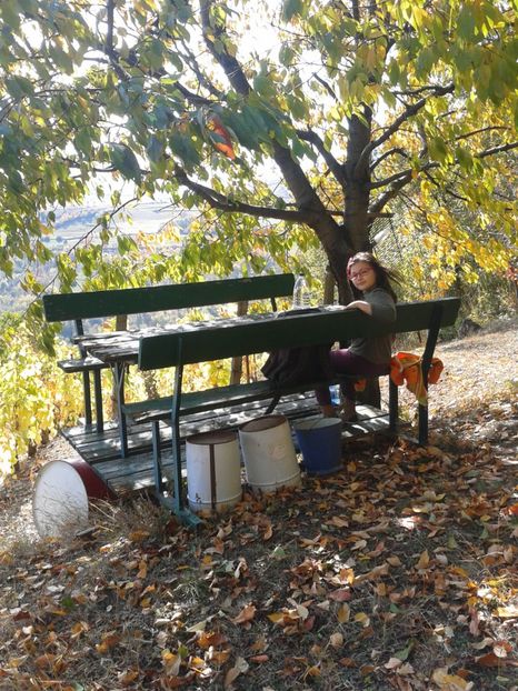 locul de luat masa - Via din Alba