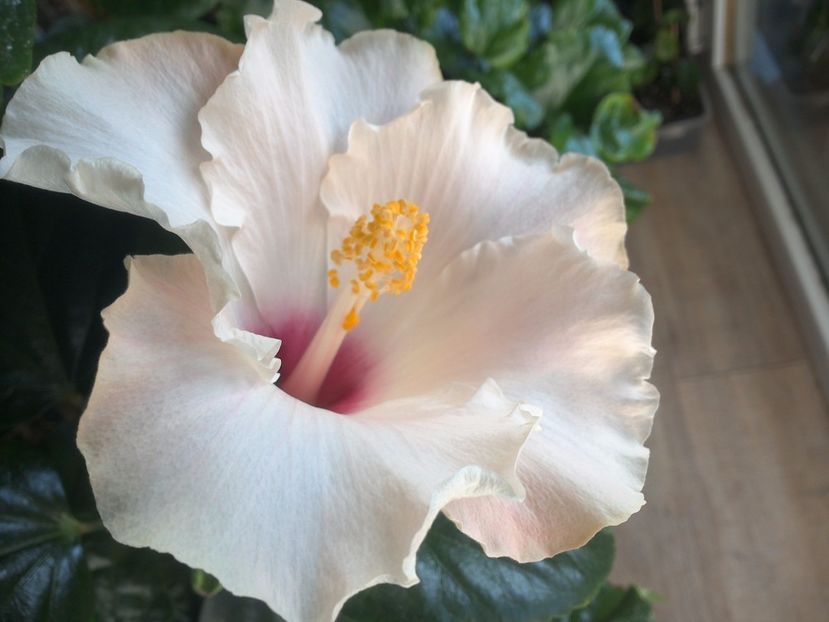 WIN_20171015_090532 - Leight Hunt