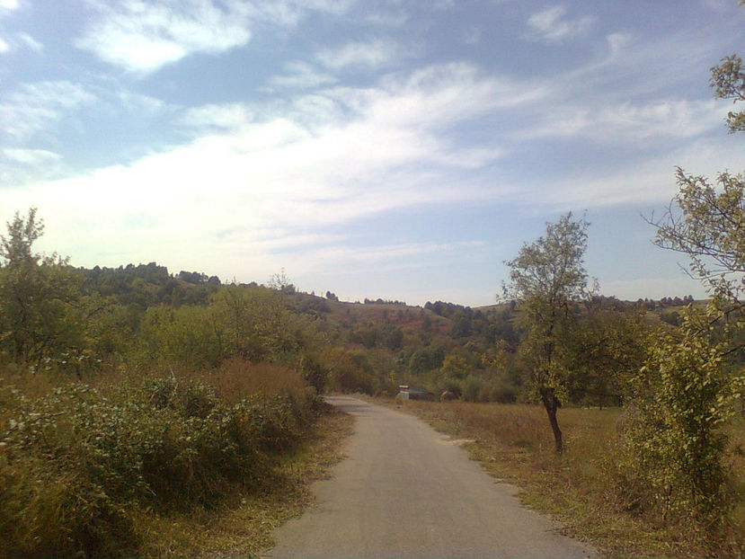  - TOAMNA LA RUNCSOR - IMAGINI