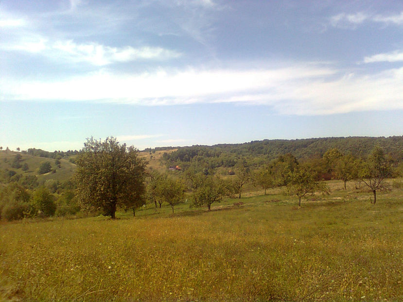  - TOAMNA LA RUNCSOR - IMAGINI