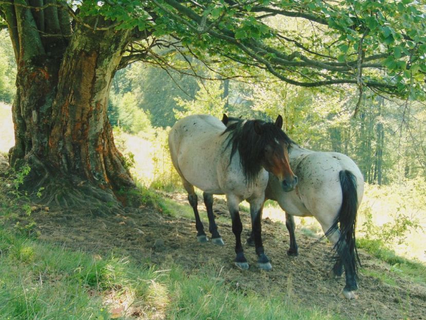  - Photo 09