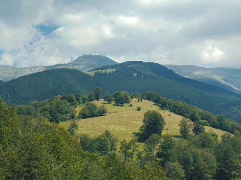  - Photo 09