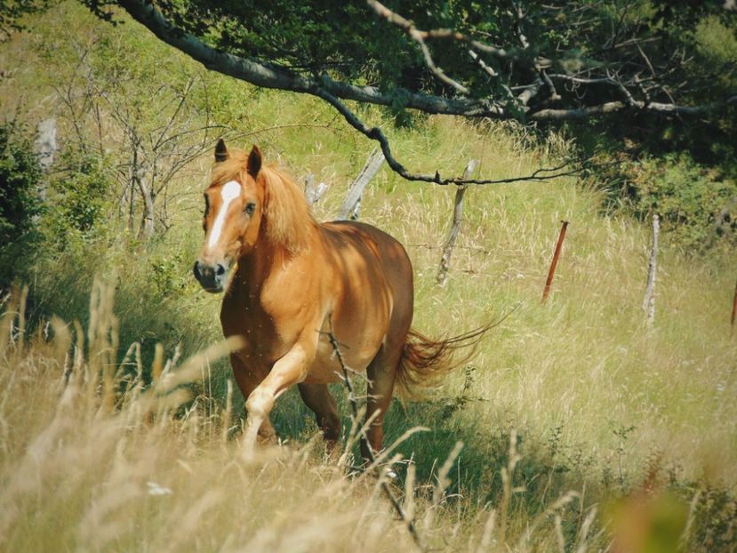  - Photo 09