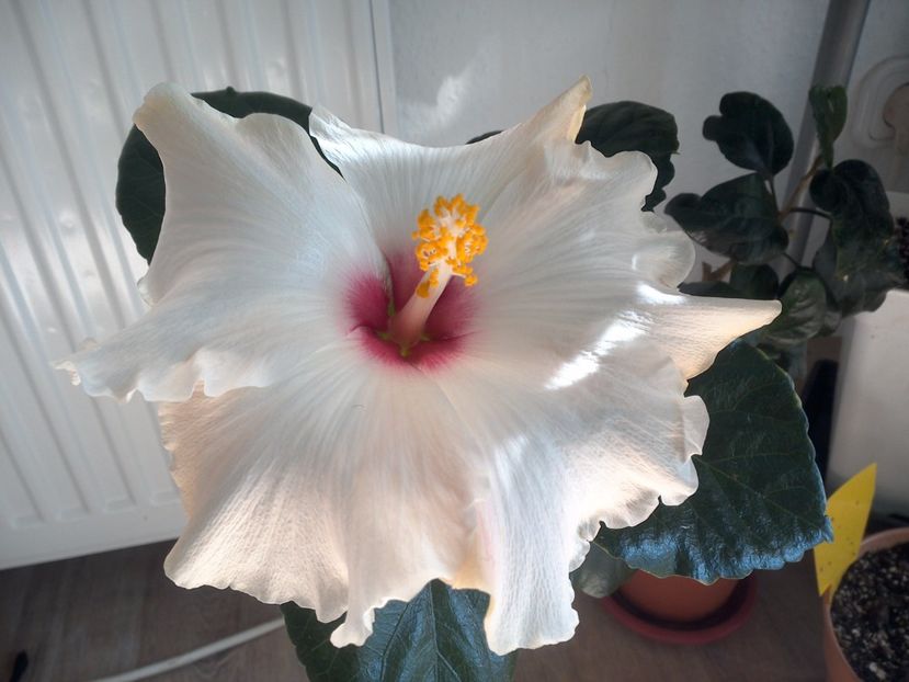 WIN_20171015_120945 - Leight Hunt