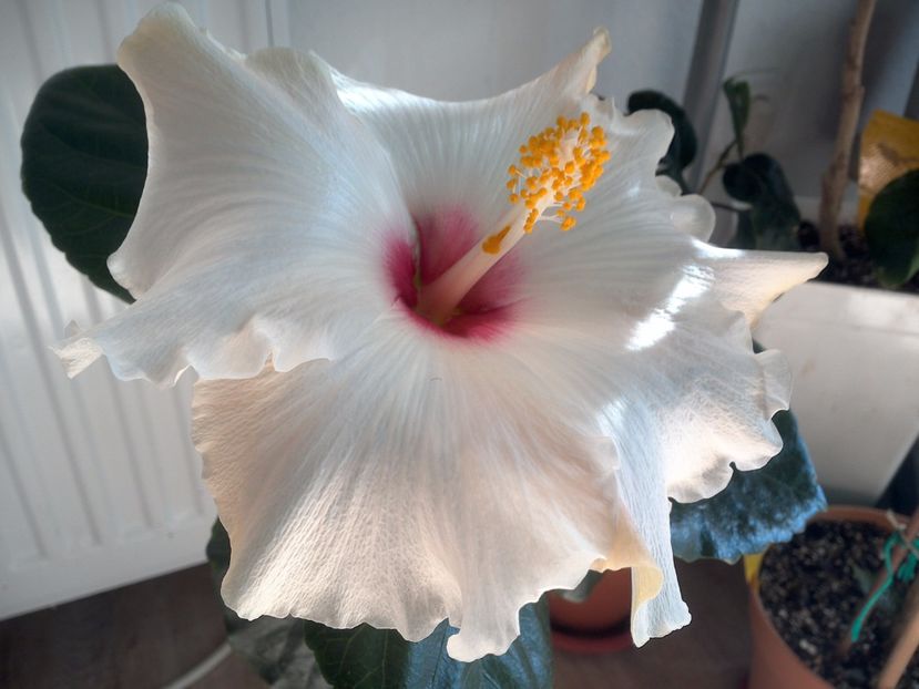 WIN_20171015_120949 - Leight Hunt