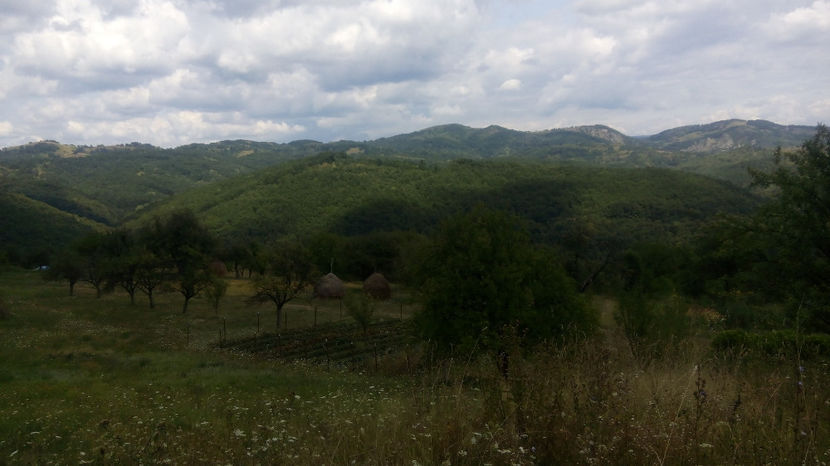  - PRIN GRADINA 2014 -216 - 2017 - 2018 Viata la tara