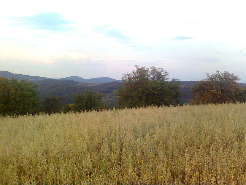  - PRIN GRADINA 2014 -216 - 2017 - 2018 Viata la tara