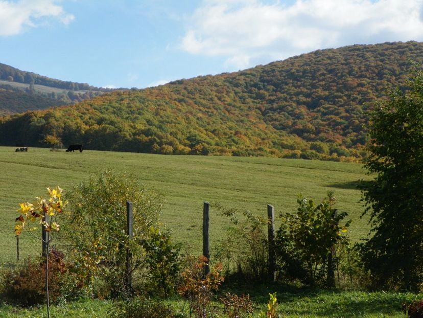 14 oct (55) - Dobarland 2017 2