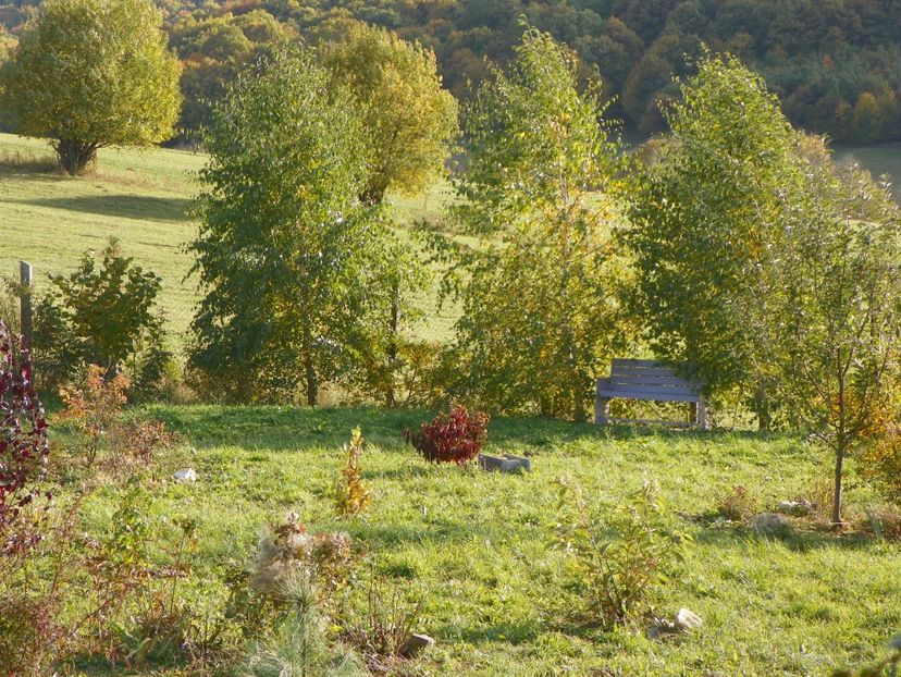 14 oct (63) - Dobarland 2017 2