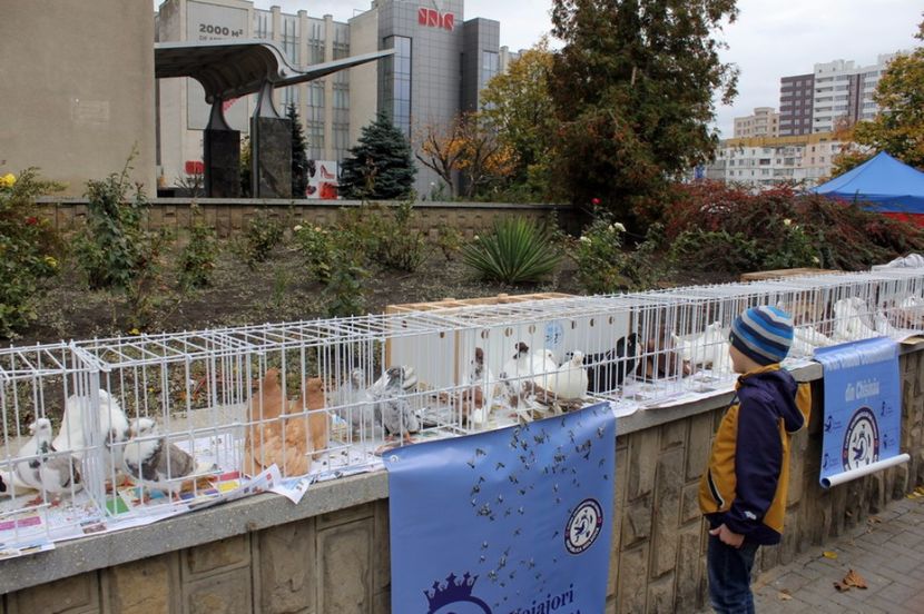  - Hramul Chisinaului 2017