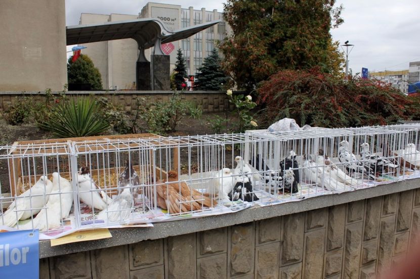  - Hramul Chisinaului 2017