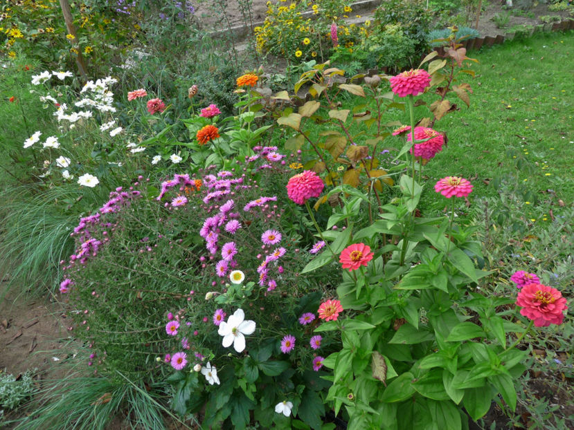  - 2017 - 03 - Toamna