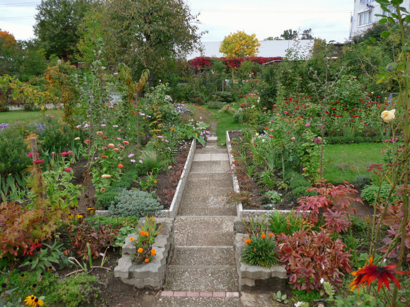  - 2017 - 03 - Toamna