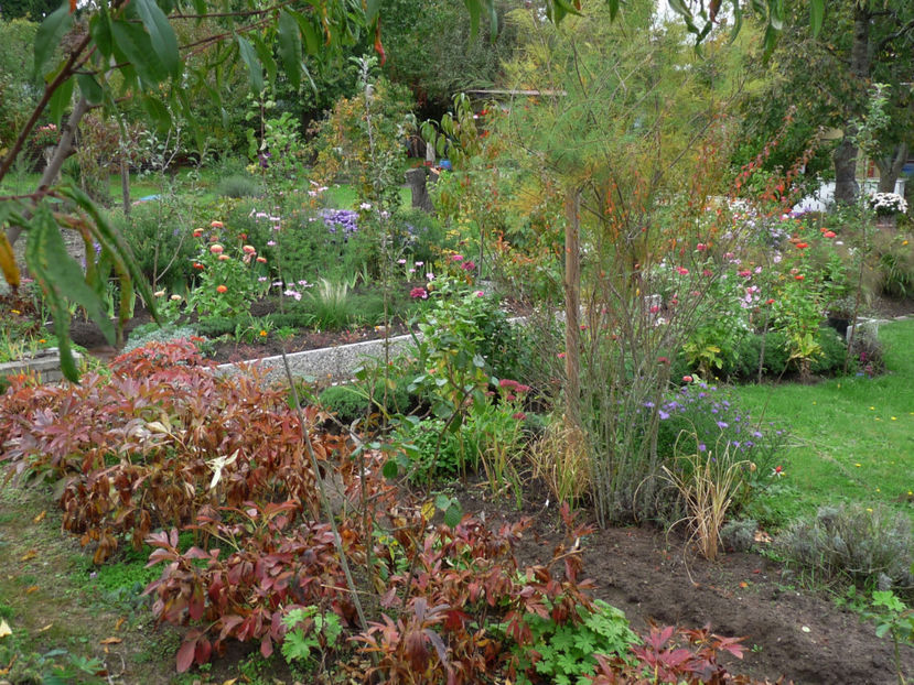  - 2017 - 03 - Toamna