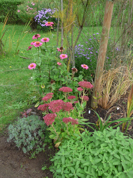  - 2017 - 03 - Toamna