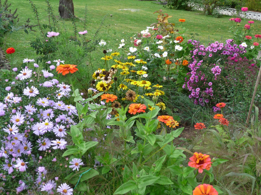  - 2017 - 03 - Toamna