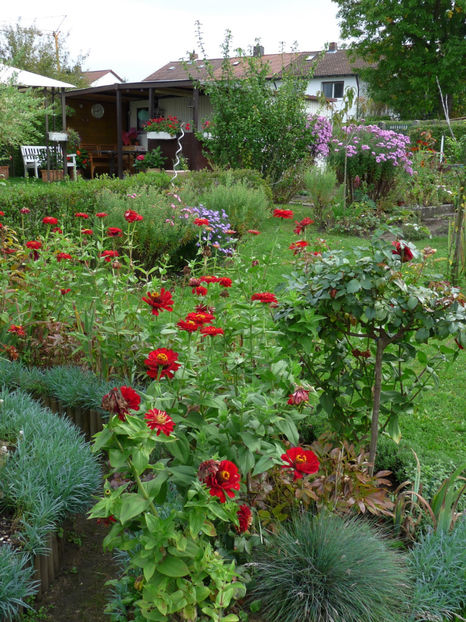  - 2017 - 03 - Toamna