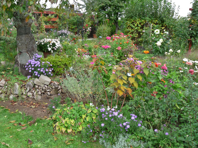  - 2017 - 03 - Toamna