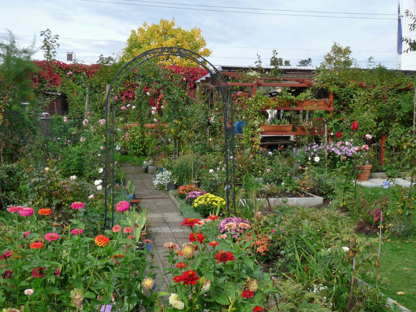  - 2017 - 03 - Toamna