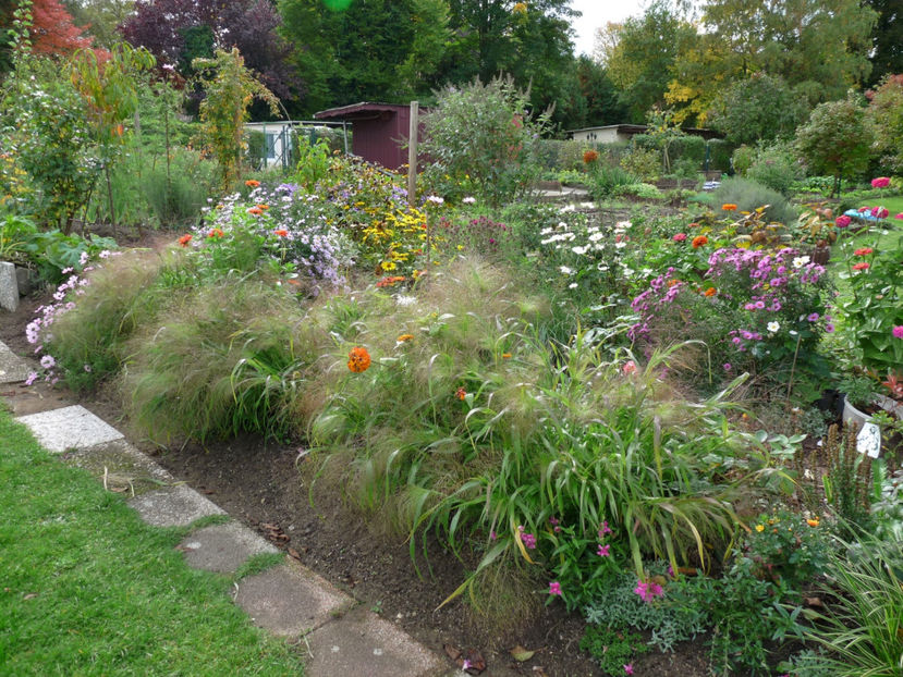  - 2017 - 03 - Toamna