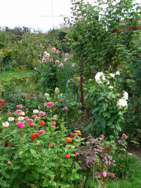  - 2017 - 03 - Toamna